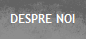 DESPRE NOI