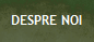 DESPRE NOI
