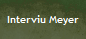 Interviu Meyer