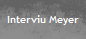 Interviu Meyer