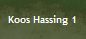 Koos Hassing 1