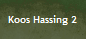 Koos Hassing 2