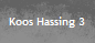 Koos Hassing 3