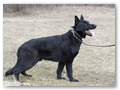 Kross_2