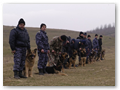 border_patrol (10)