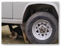 border_patrol (12)