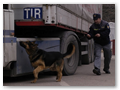 border_patrol (6)