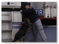 border_patrol (8)